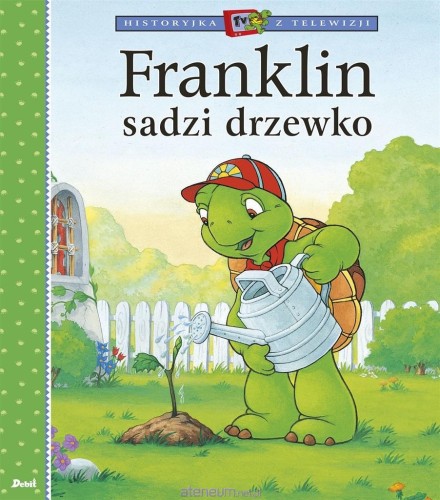 537667_large.jpg