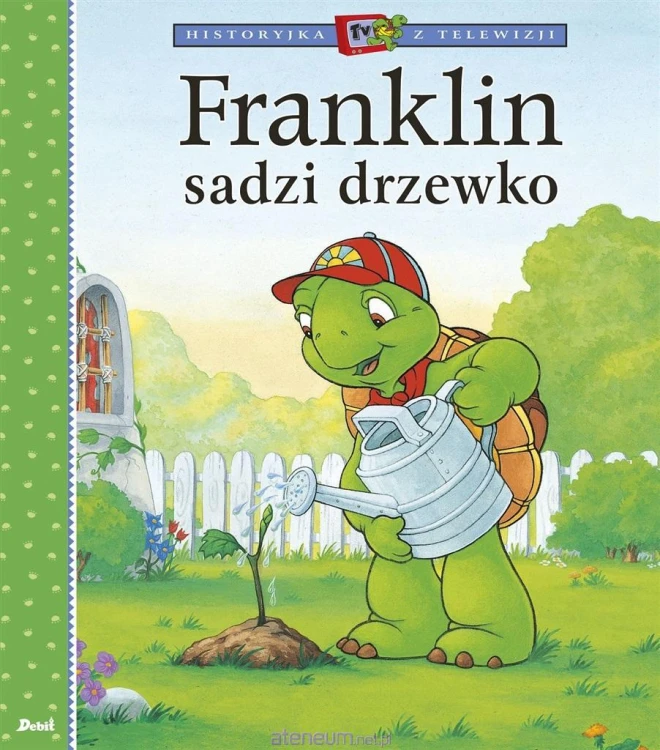 537667_large.jpg