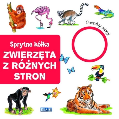 8efba95caceb90f77dee55746b2e3d13.jpg