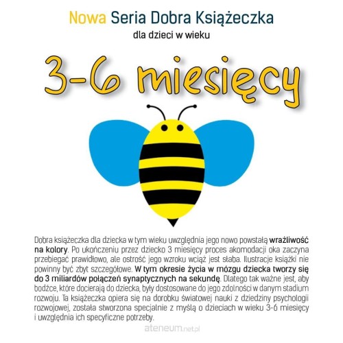 396149_large.jpg