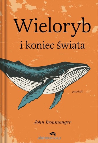 627503_large.jpg