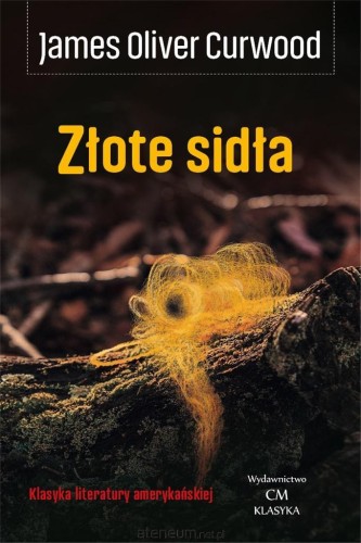 447897_large.jpg