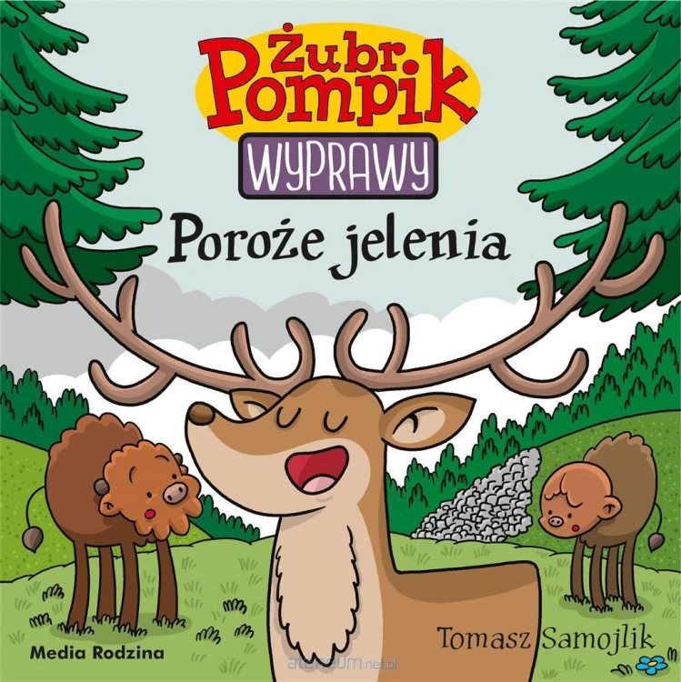 527670_large.jpg