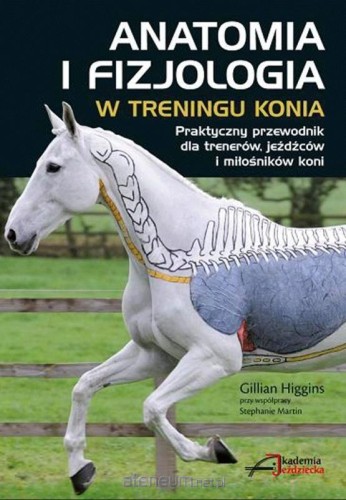 408813_large.jpg