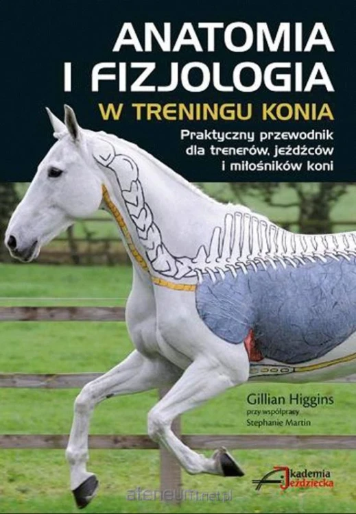 408813_large.jpg
