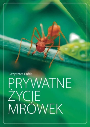 2ecd74832869966d069839ea32a08ee3.jpg