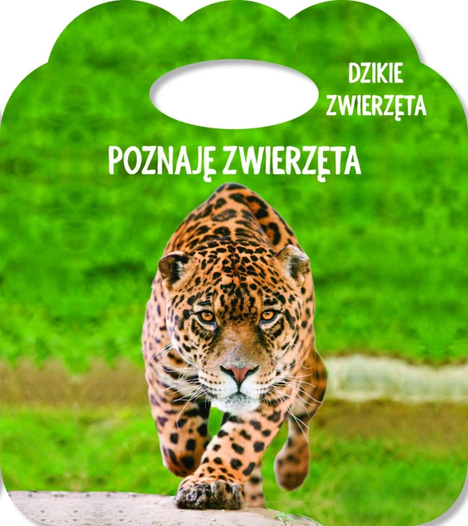 f8b8ef8be2e65efd2d5ca429a35e7891.jpg