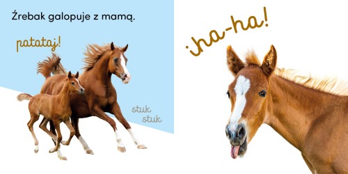 26ca7b92f0e388d04a3cc85093e3b76e
