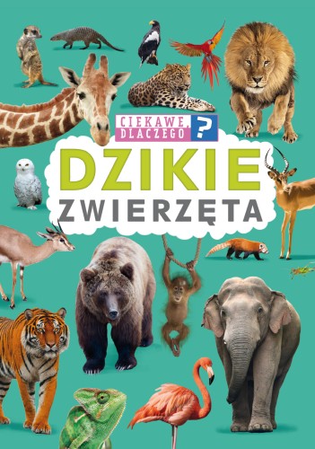 d07e5d3635296a2e151d615221e961fa
