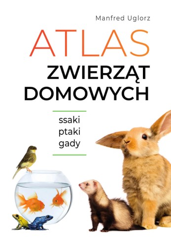 2adacff6a0d88e43fc4c278e2b2356a5