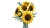 f6e1f91b76f557c50227dfb951894bd2