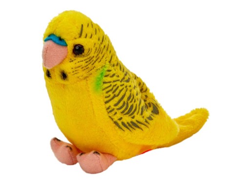 d601af0d48bdd8a74ac7777b8b80f669