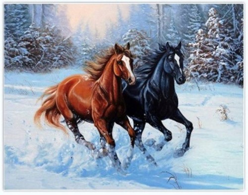 0d4ec336a25a866bd03fdb49824adf5f