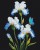 b75cb72e084a7ea2380667772aec85e7