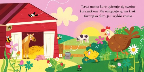 701bb23533a5432da5f8b0f40f61b6a6
