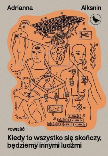 691304_large.jpg