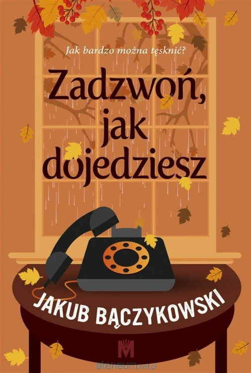 655060_large.jpg