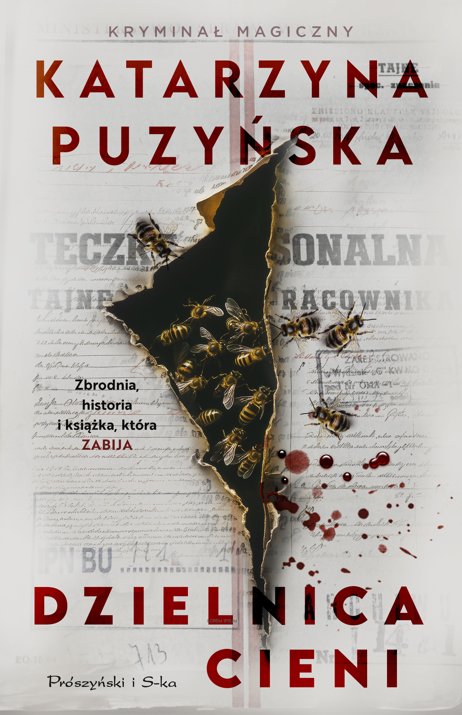 Dzielnica cieni - Katarzyna Puzyńska