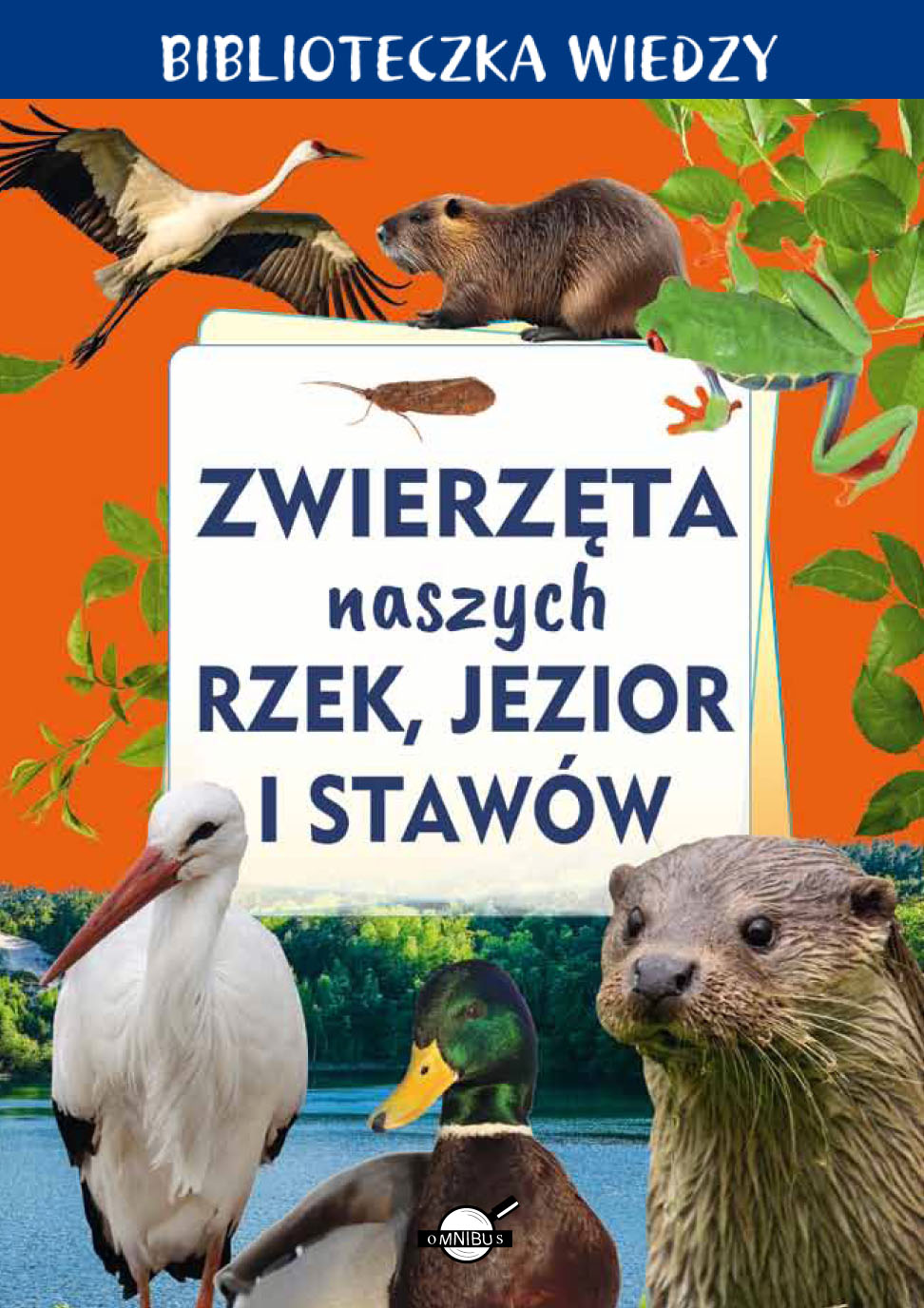 Zwierzęta naszych rzek, jezior i stawów. Biblioteczka wiedzy - Anna Skrok,Opracowanie Zbiorowe